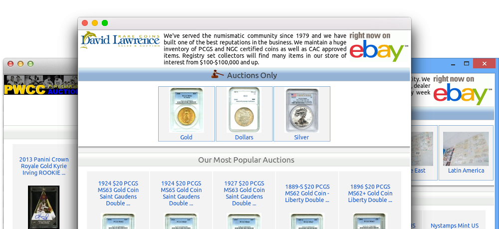 browsers displaying ebay shop